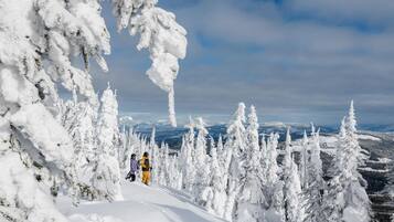 A snowy mountain landscape with snow-covered trees and a clear sky.