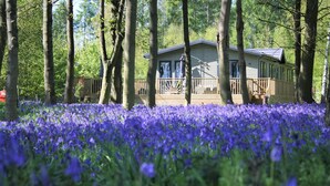 Een chalet omringd door bos, met een terras en uitzicht op de bomen.