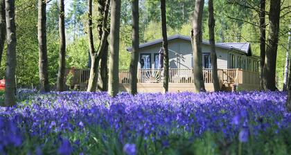 Hollicarrs - Woodland Lodge
