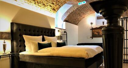 Luxury Apartment COLLOSEUM in the City