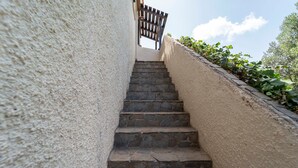 Una escalera de piedra que sube hacia un portón de madera, rodeada por un muro texturizado y vegetación.