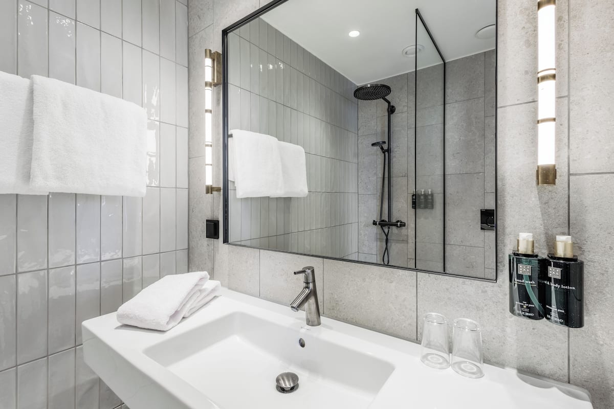 deluxe double room | bathroom | shower, free toiletries, hair dryer