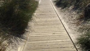 Un paseo marítimo de madera que conduce a la playa, con orillas cubiertas de hierba a ambos lados.