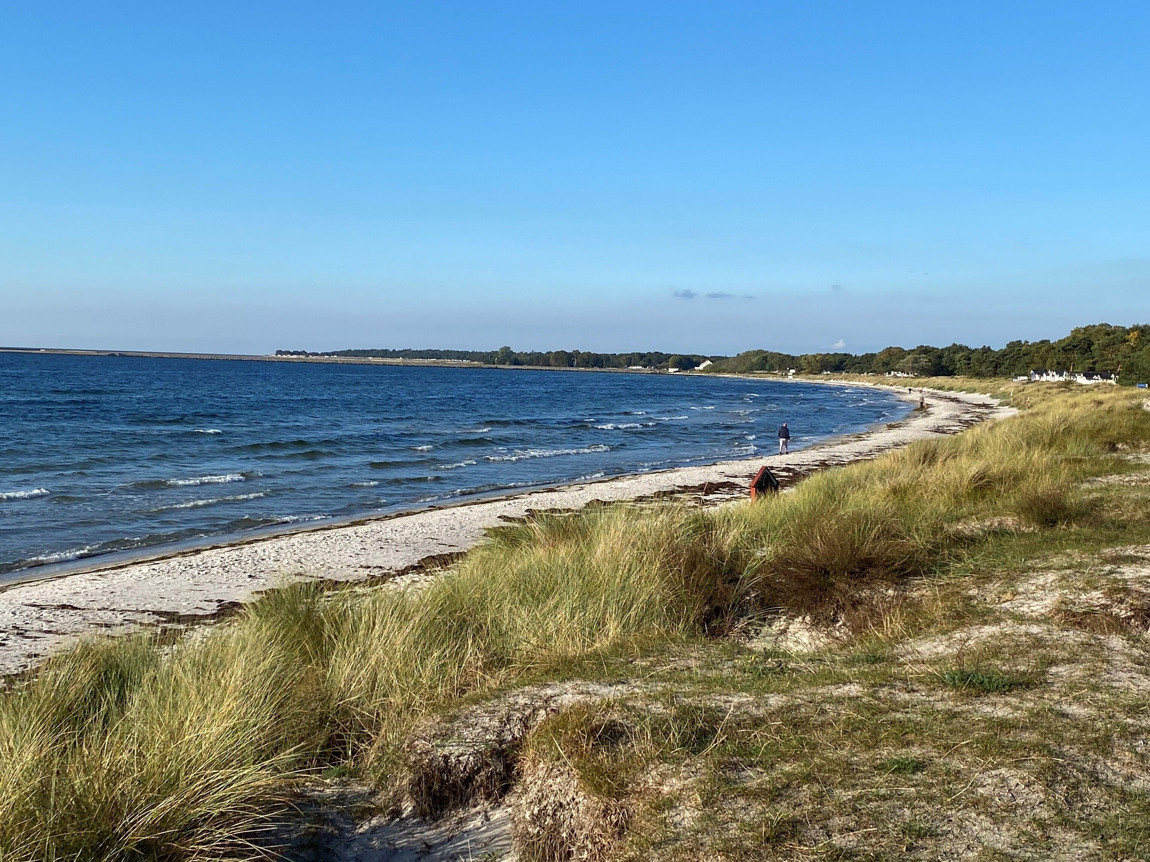 Een kuststrand met een zandrijk strand, begroeide duinen en een helderblauwe lucht.