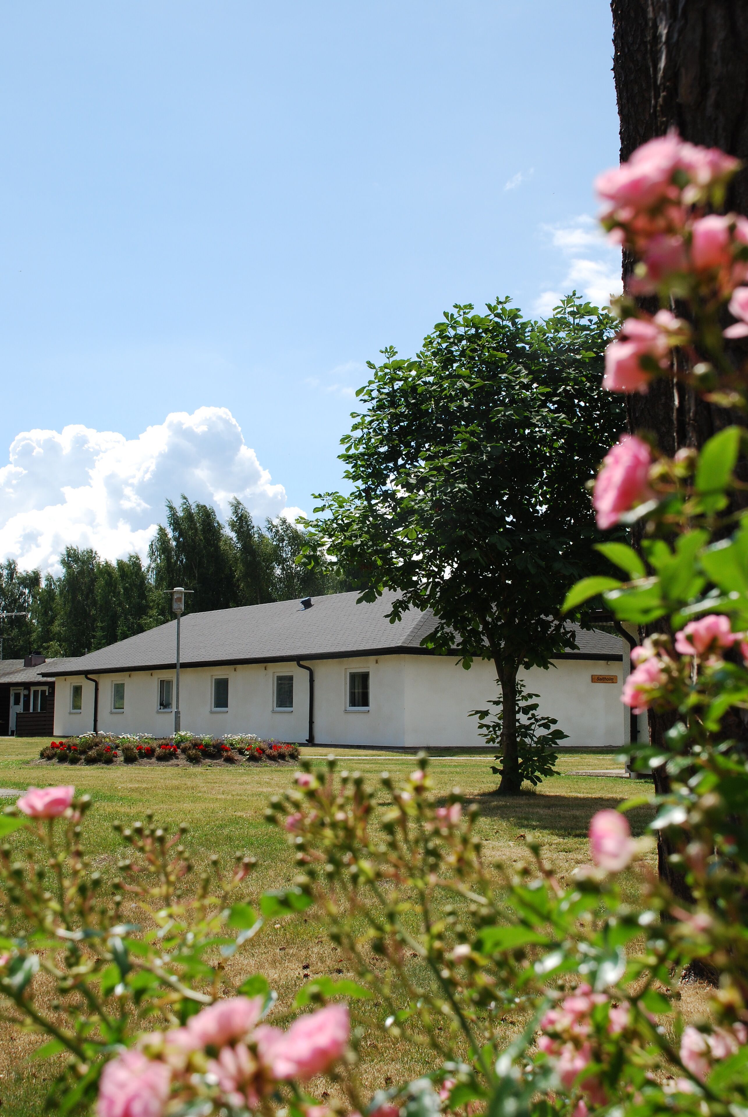 A building with a white exterior, surrounded by a grassy field and a large tree.