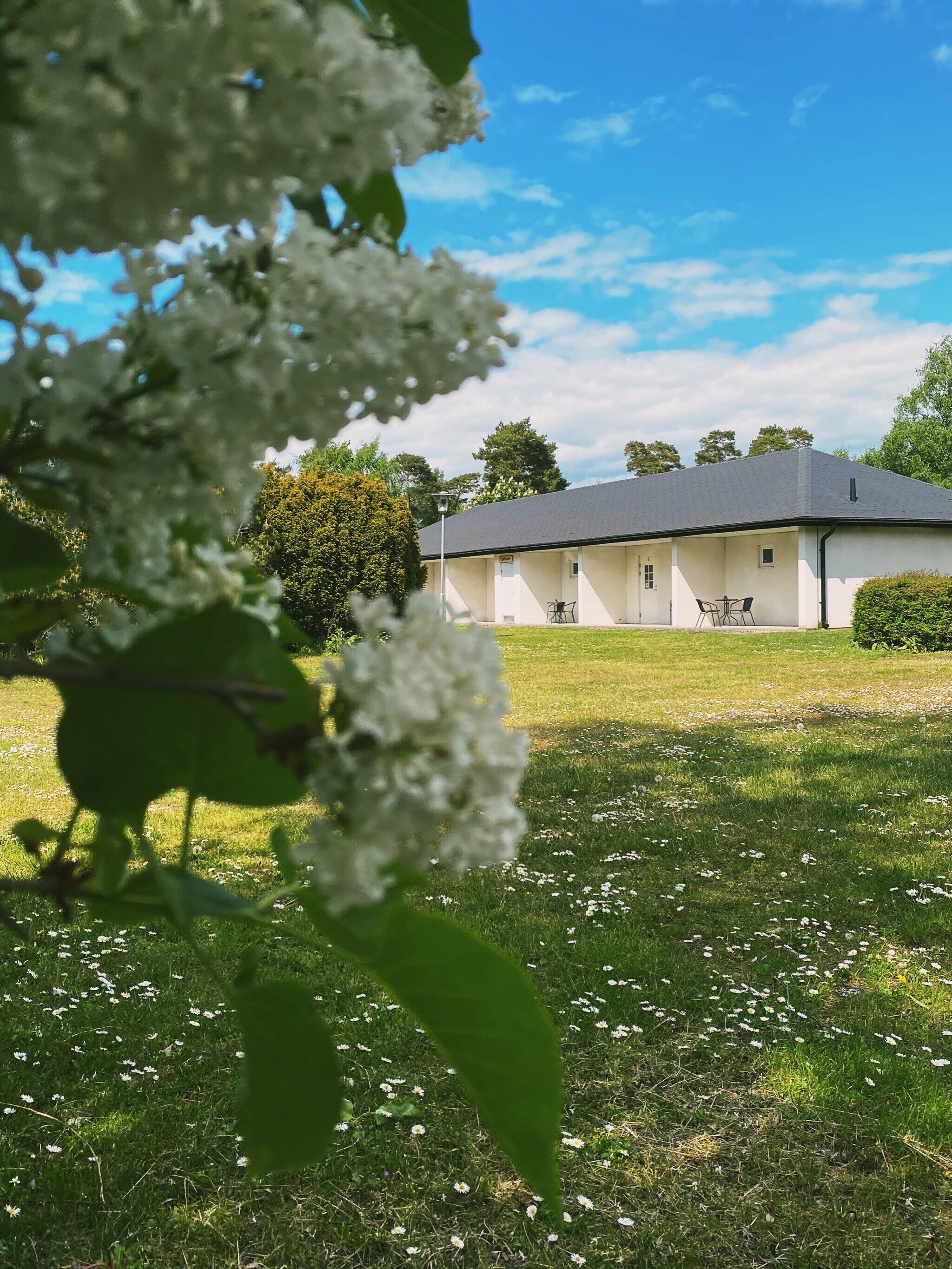A building with a flat roof, a covered outdoor area with tables and chairs, and a grassy lawn with scattered white flowers.