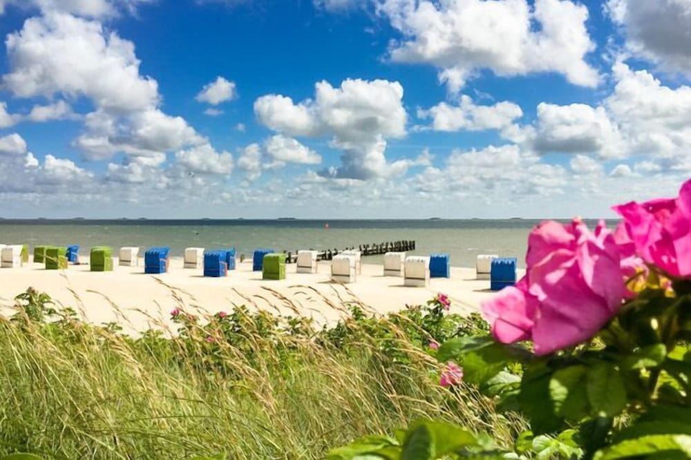 enjoy the wide view of the Wadden Sea and the Halligen....