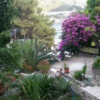 Jardim