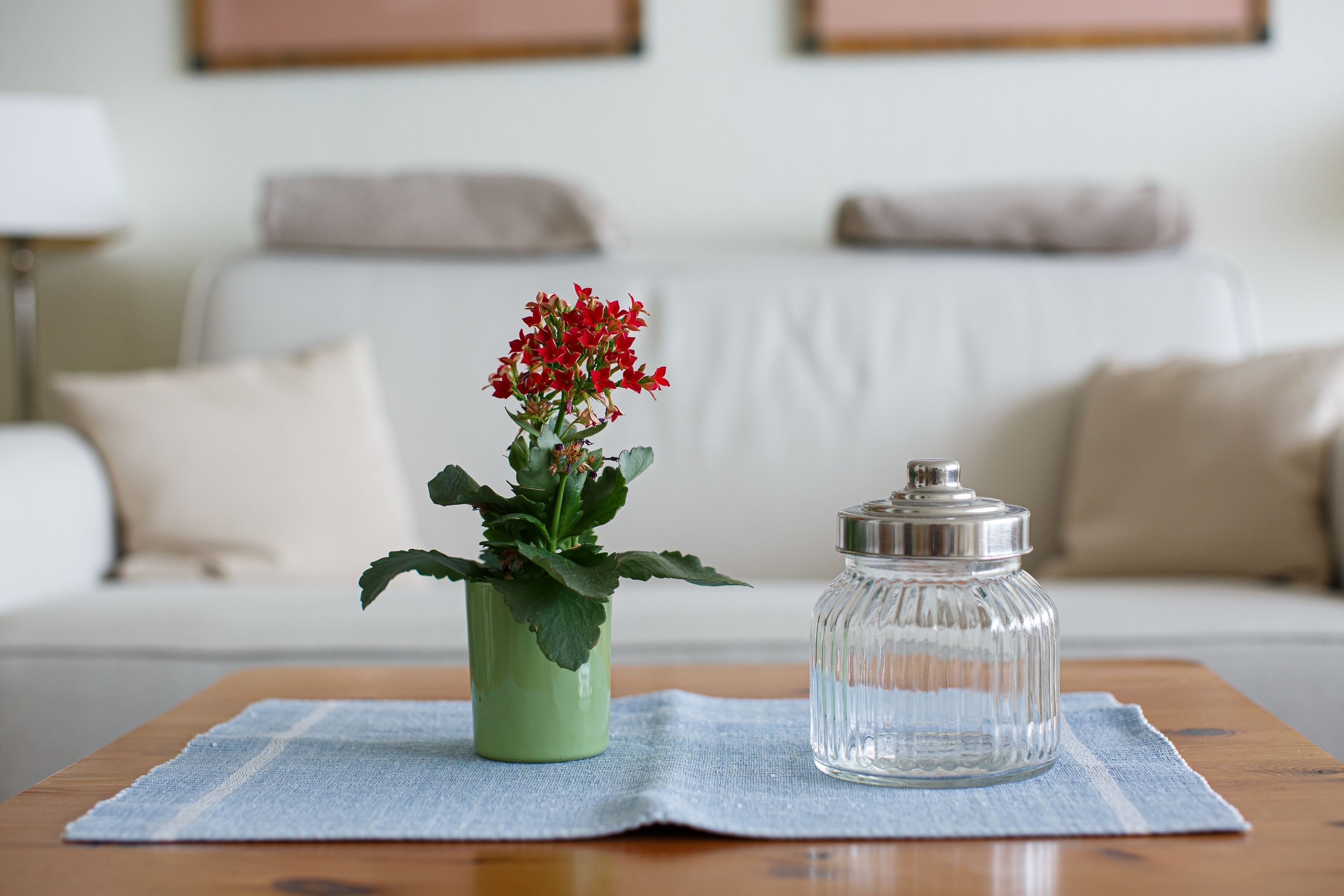 In the first row on the sunny beach of Wyk!