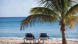 Two beach chairs under a palm tree on a sandy beach with the ocean in the background.