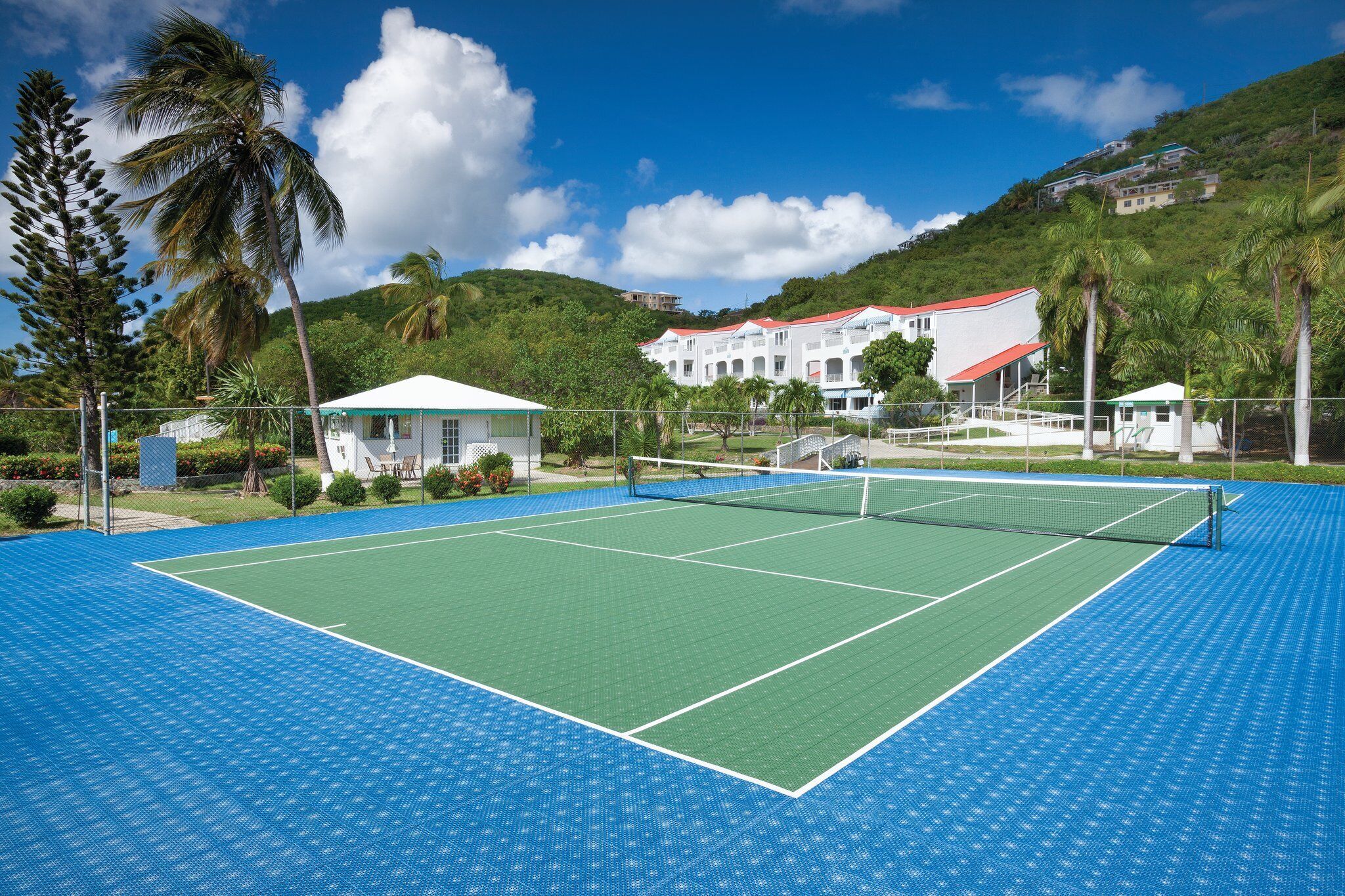 Un court de tennis avec un filet, entouré d’une clôture et de palmiers.