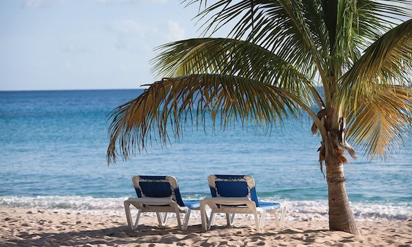 Dos sillas de playa bajo una palmera en una playa arenosa, con el océano al fondo.