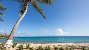 A beach with a palm tree, clear blue sky, and calm sea. - Very Romantic Secluded Beach Getaway in St. Thomas Island (St. Thomas)