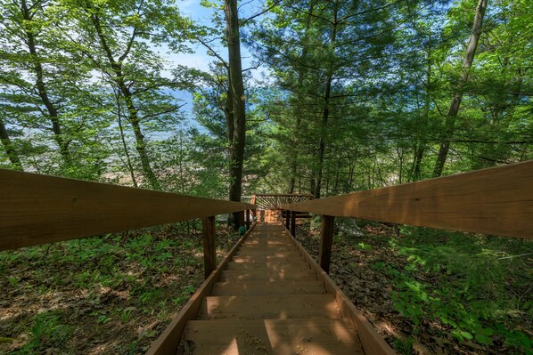 A wooden staircase leading into a forested area. - Gebhard Chalet - Charming, private, beachfront chalet nestled in a wooded dune on Lake Michigan (Covert)