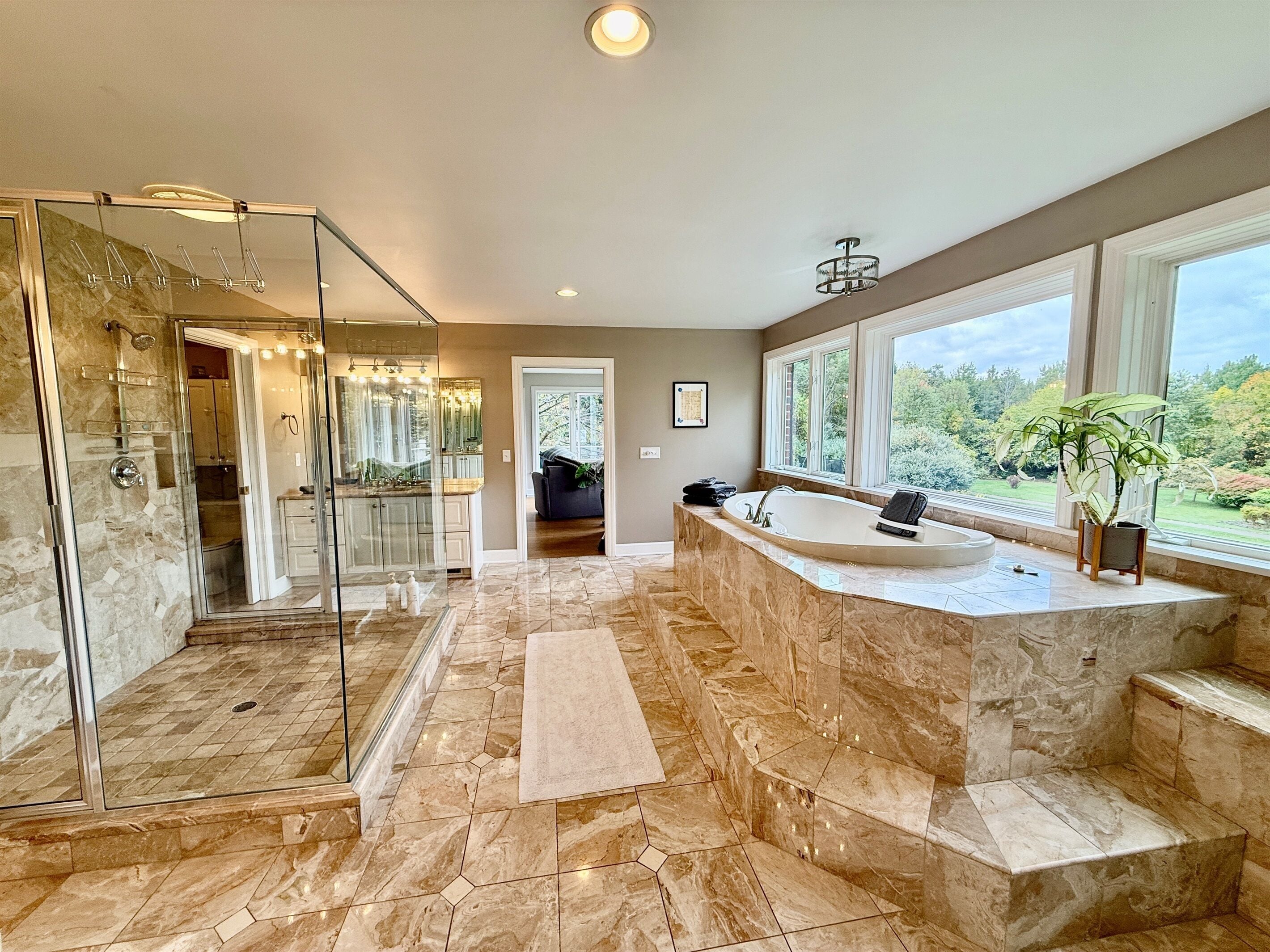 Combined shower/tub, jetted tub, hair dryer, towels