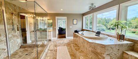 Combined shower/tub, jetted tub, hair dryer, towels