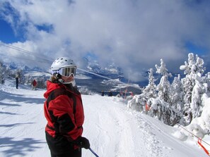 Lumi- ja hiihtourheilulajit