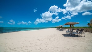 A beach with white sand, clear blue water, and a row of sun loungers with umbrellas. - Secluded Retreat, Unbelievable Ocean View, Beach Front (Providenciales)