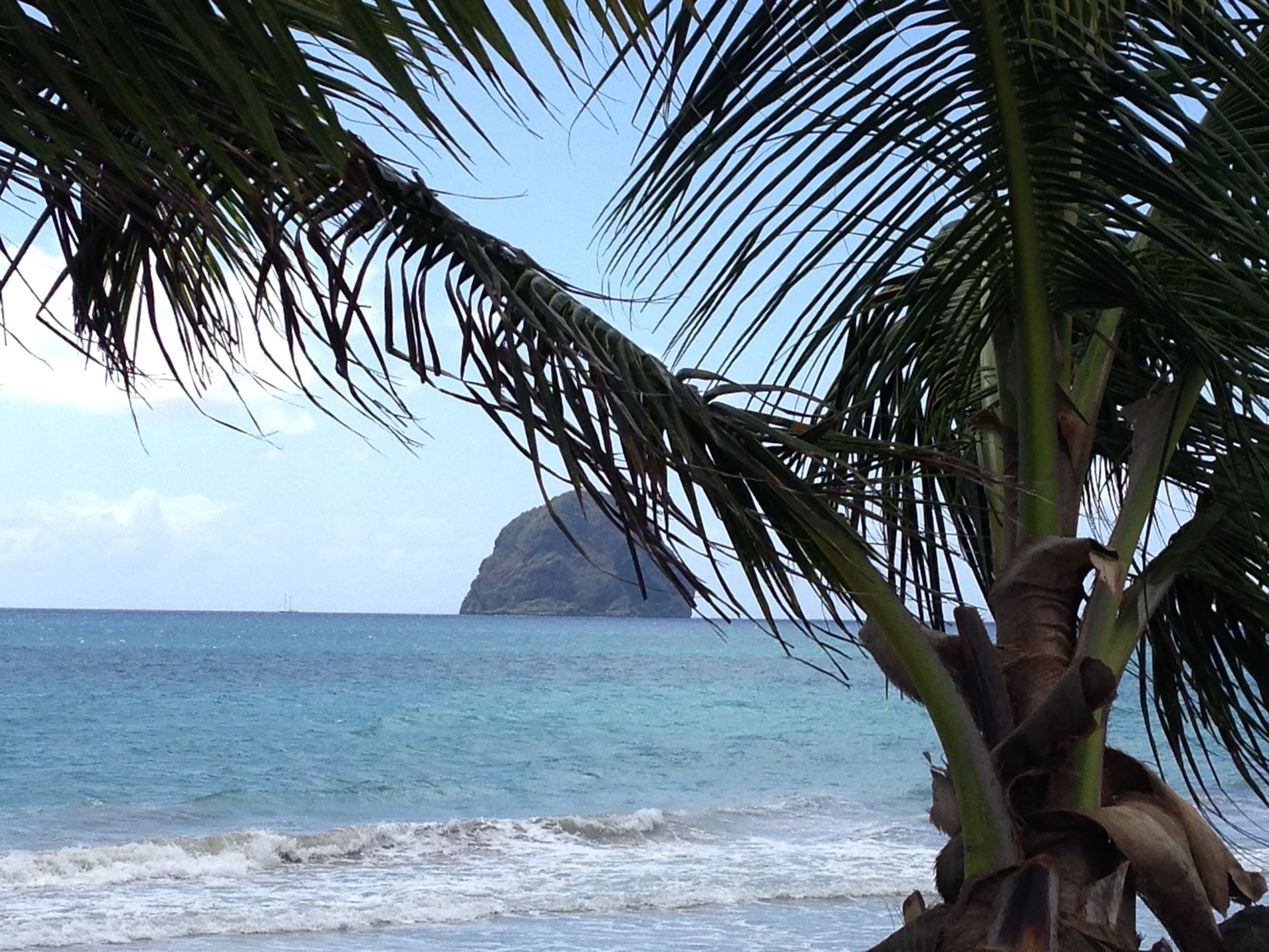 A beach with palm trees and a distant island.