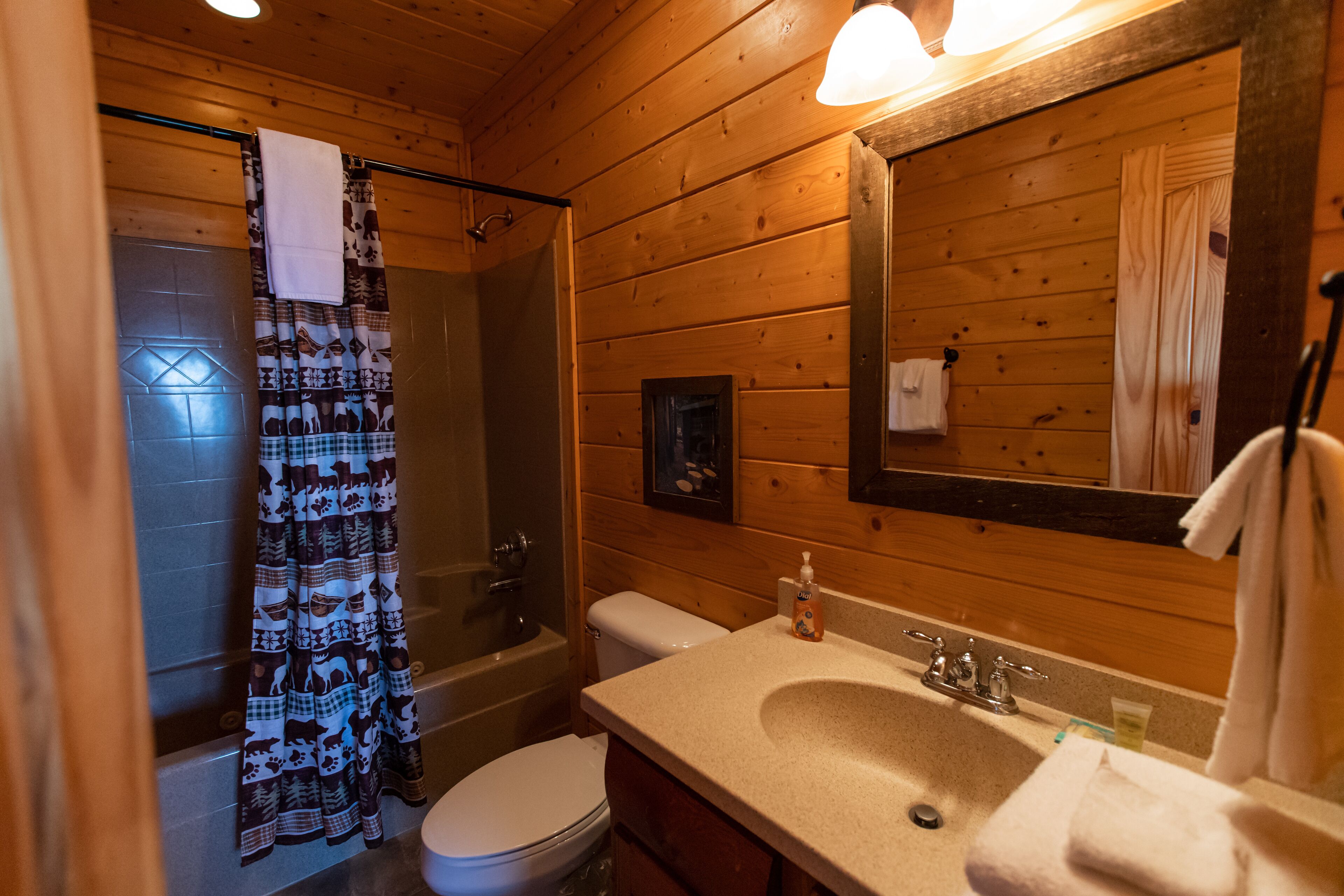 Une salle de bain rustique, aménagée dans une cabane en bois, avec une douche, des toilettes, un lavabo et un miroir.