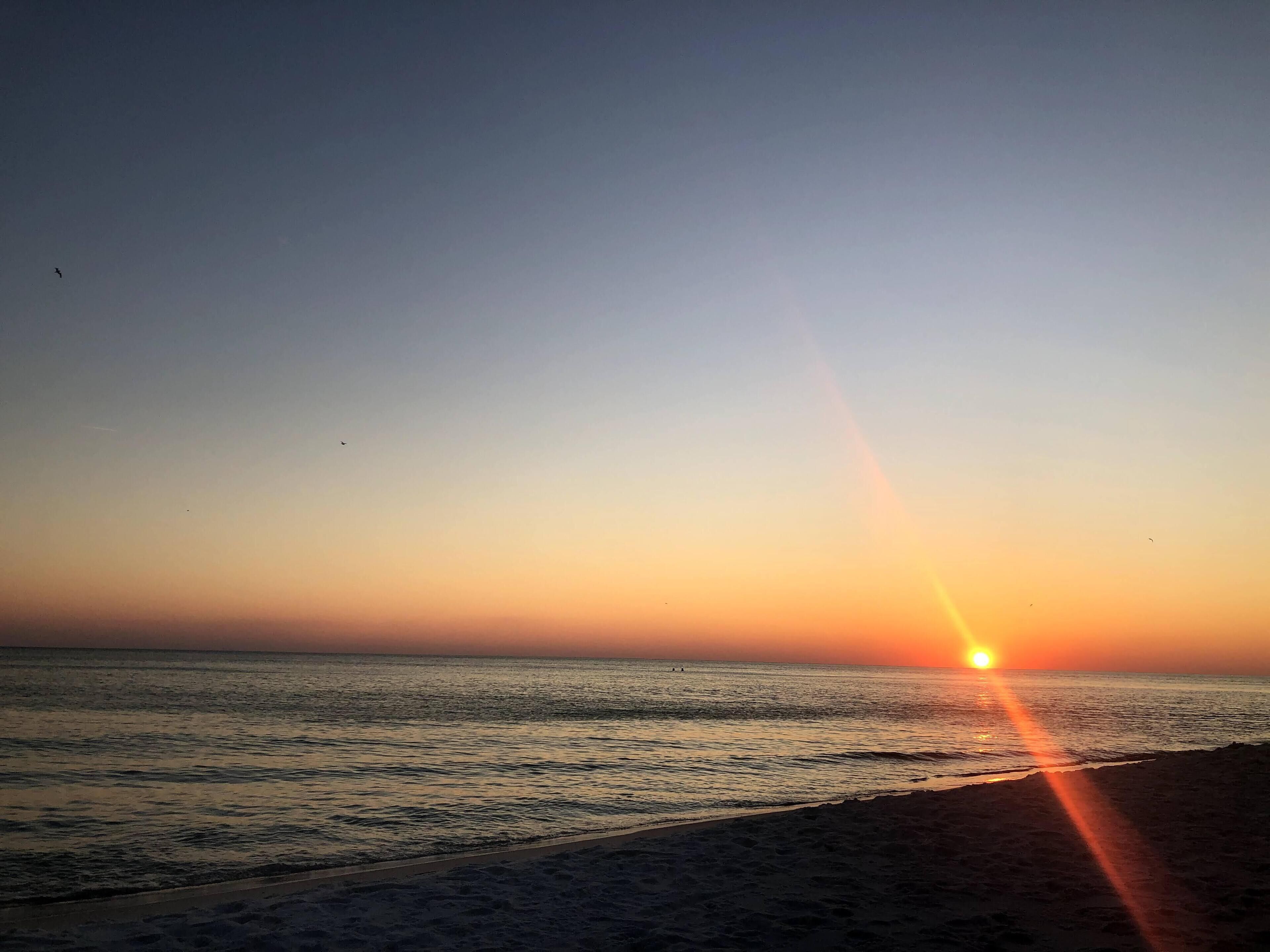 Adorable Beach Suite Island Gardens Getaway