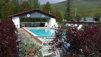 Seasonal outdoor pool, pool umbrellas, pool loungers