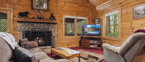 Smart TV, fireplace, video games, DVD player