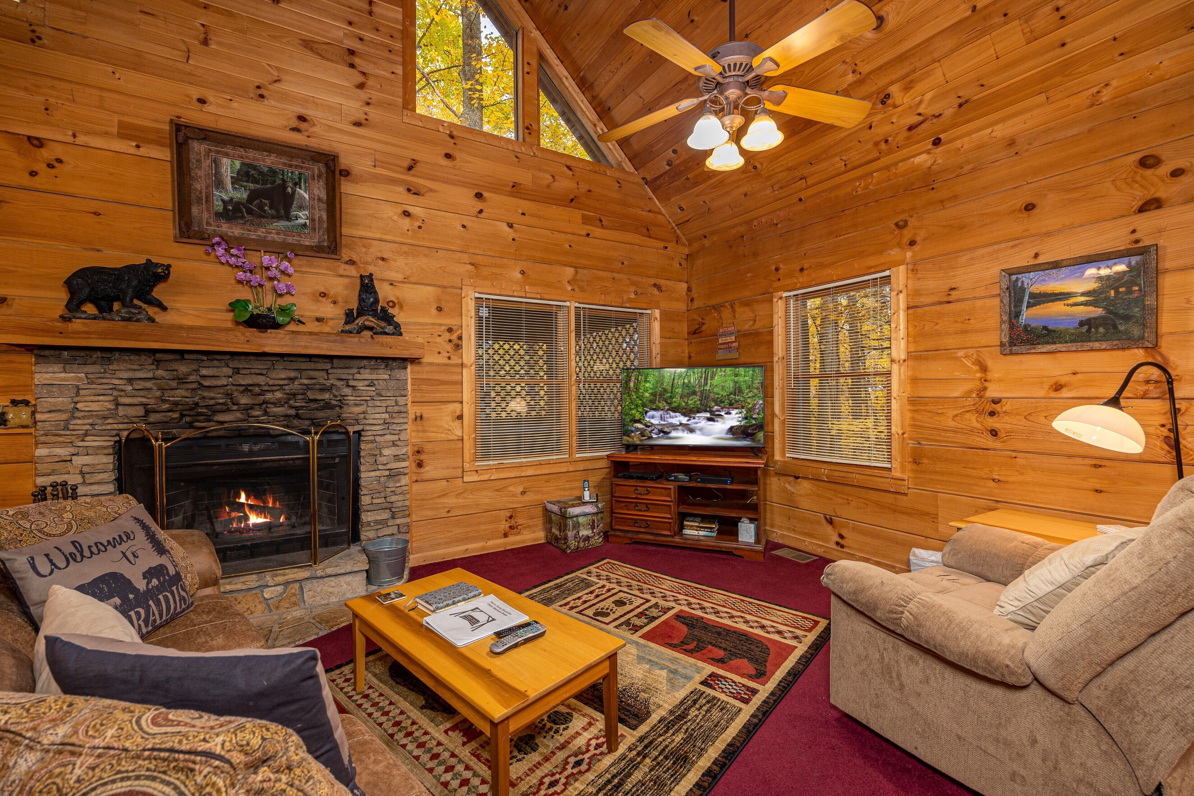 Smart TV, fireplace, video games, DVD player