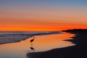 على الشاطئ، كراسي للتشمس