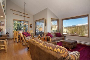 Télévision, cheminée, jeux vidéo