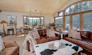 Televisión y chimenea 