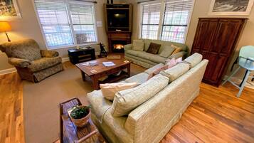 TV connectée, cheminée, lecteur de DVD, livres