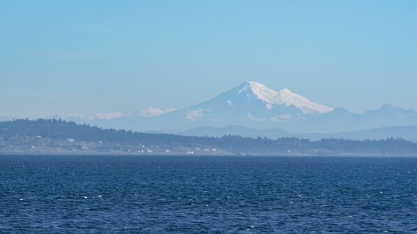 A mountain with a snow-capped peak, a body of water in the foreground, and a forested area in the midground.