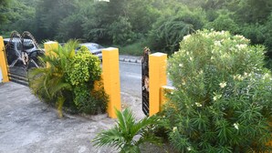 Ein verschlossener Eingang mit gelben Säulen, einem Betonweg und üppiger Bepflanzung, darunter eine Palme und blühende Pflanzen.