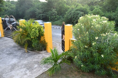 A Comfortable stay at Pond View Apartment