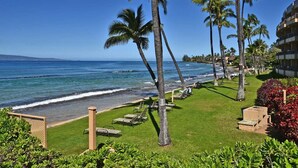 A beachfront hotel with a grassy lawn, palm trees, and ocean views.