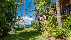 A pathway lined with palm trees leading to a building with a balcony overlooking the ocean.