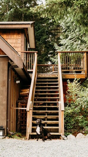 المنطقة المحيطة بالمنشأة