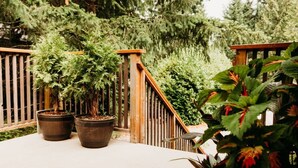 A wooden deck with potted plants and a wooden railing.