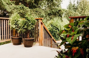 Property grounds - Dancing Trees Guest Suite (Comox)