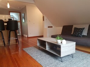 Smart TV, fireplace, books