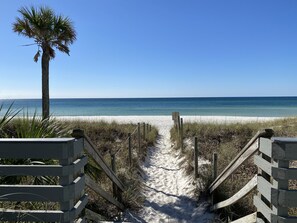 A beach path leading to the ocean with a palm tree and wooden railings. - Remodeled 3 BR 2BA condo steps to the beach! Sunset views and private garage.  (Panama City Beach)