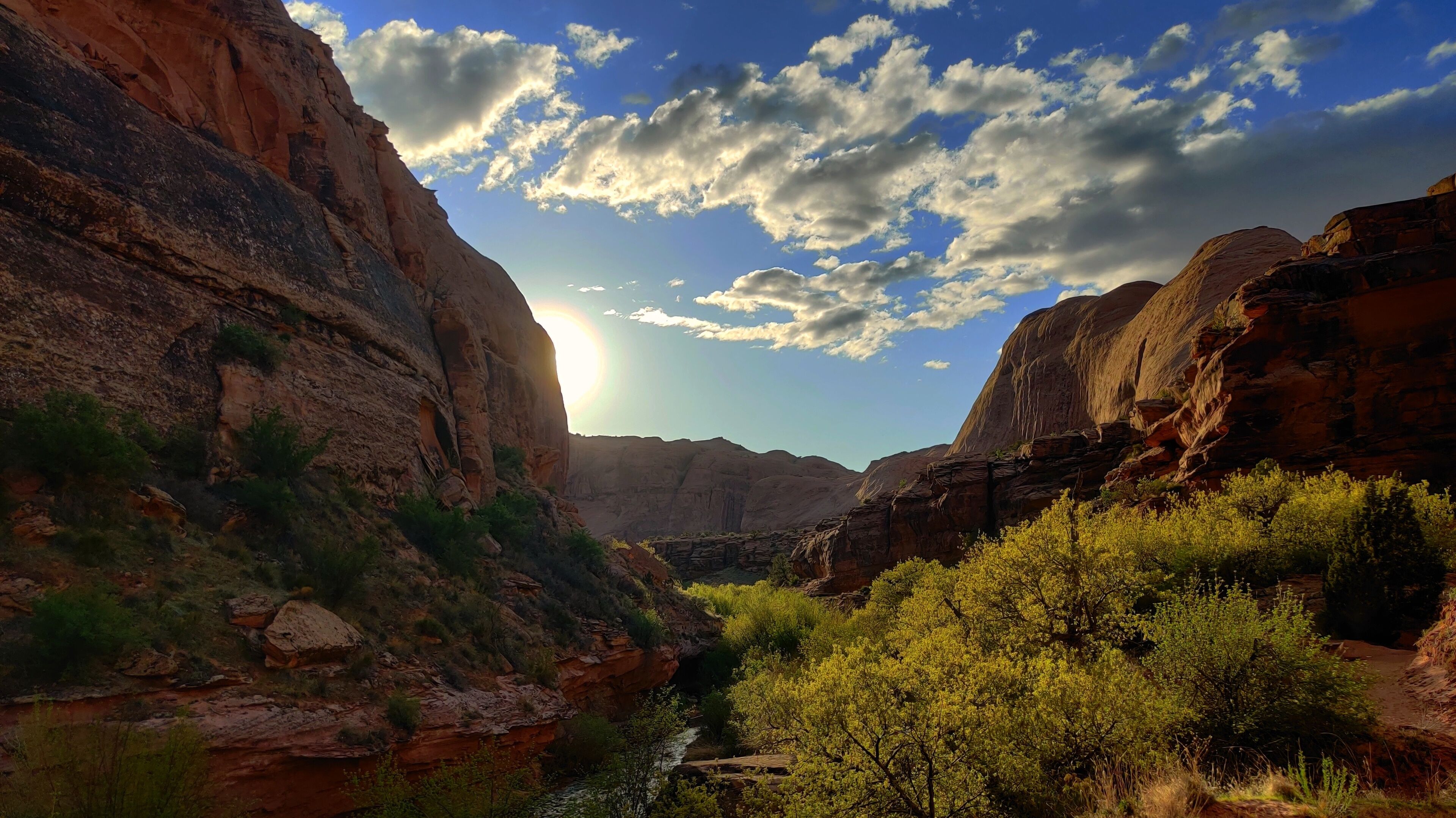 Morning Glory Arch Trail