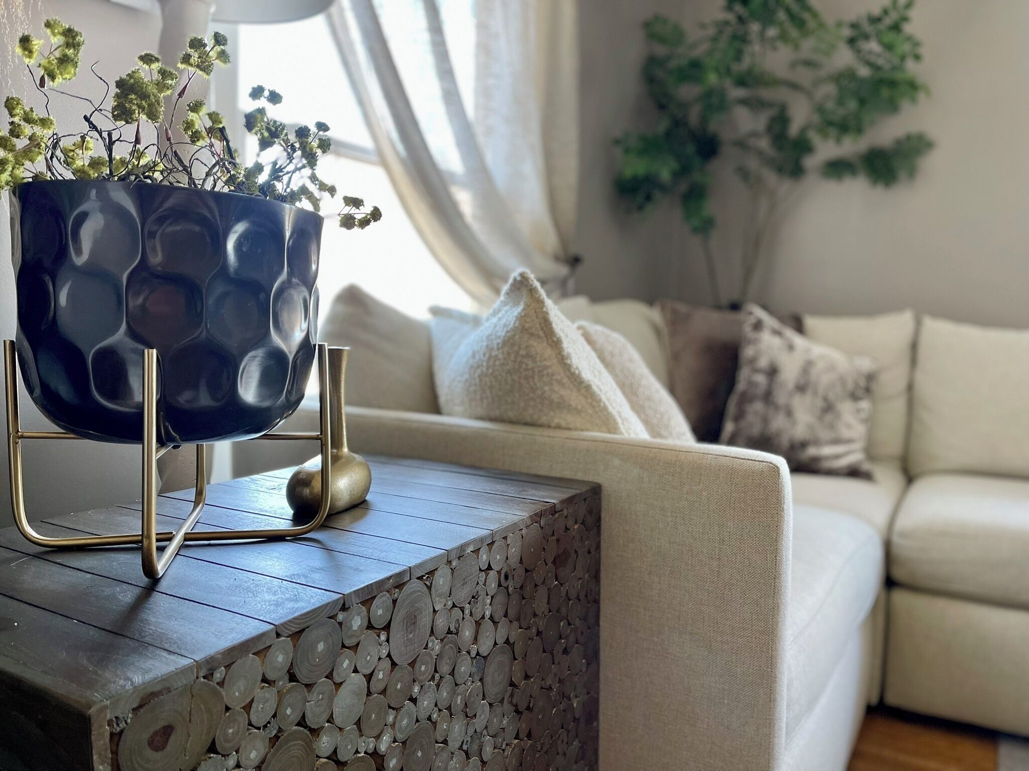 Smart TV, fireplace, books, printers