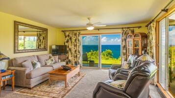 Smart TV, DVD player, books