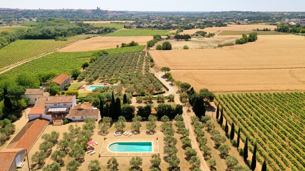 An aerial view of a vineyard with rows of grapevines, a swimming pool, and a building with a tiled roof. - Le Hameau Montplaisir, its 4 houses, 36 beds and 2 large swimming pools! (Béziers)