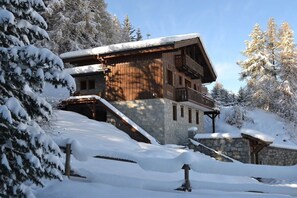 Exterior - Chalet  20p. Ski-in ski-out! 20p - Sauna - great view Mont Blanc (la Plagne Tarentaise)
