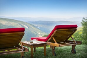 Garden view - Villa Palazzo Angelica (Oprtalj)