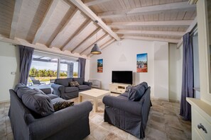 Smart-TV, Kamin