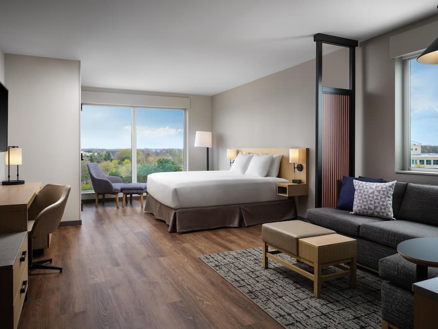 Room, 1 King Bed with Sofa bed, Accessible, Bathtub | Hypo-allergenic bedding, down comforters, pillowtop beds, in-room safe